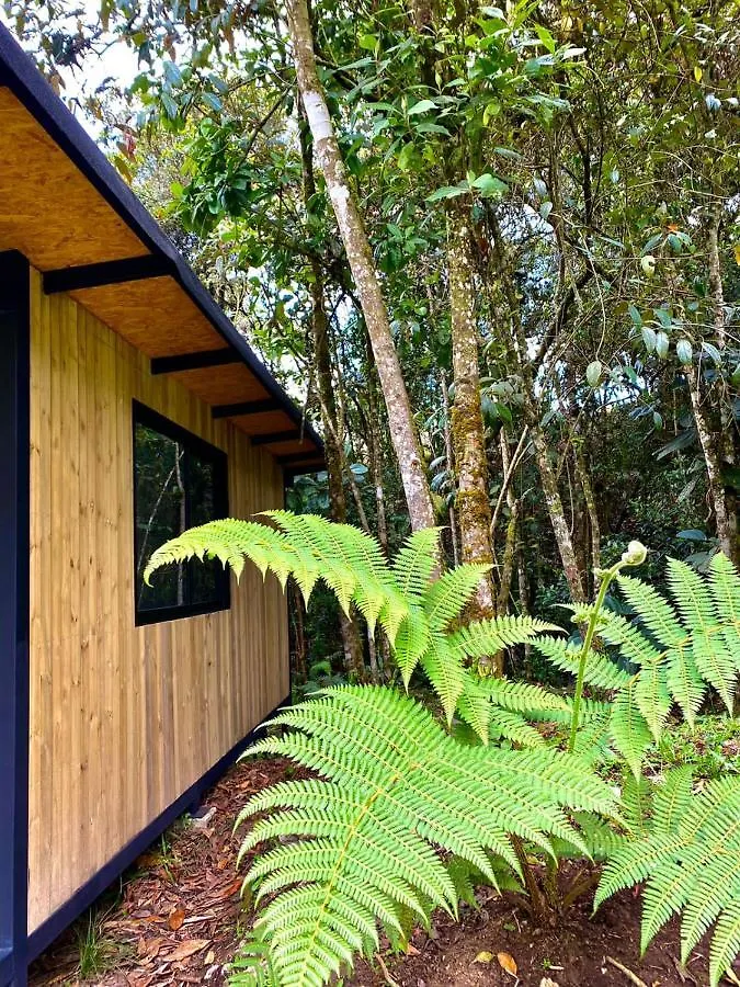 Plantae Ecolodge Medellín 0*,  Colômbia